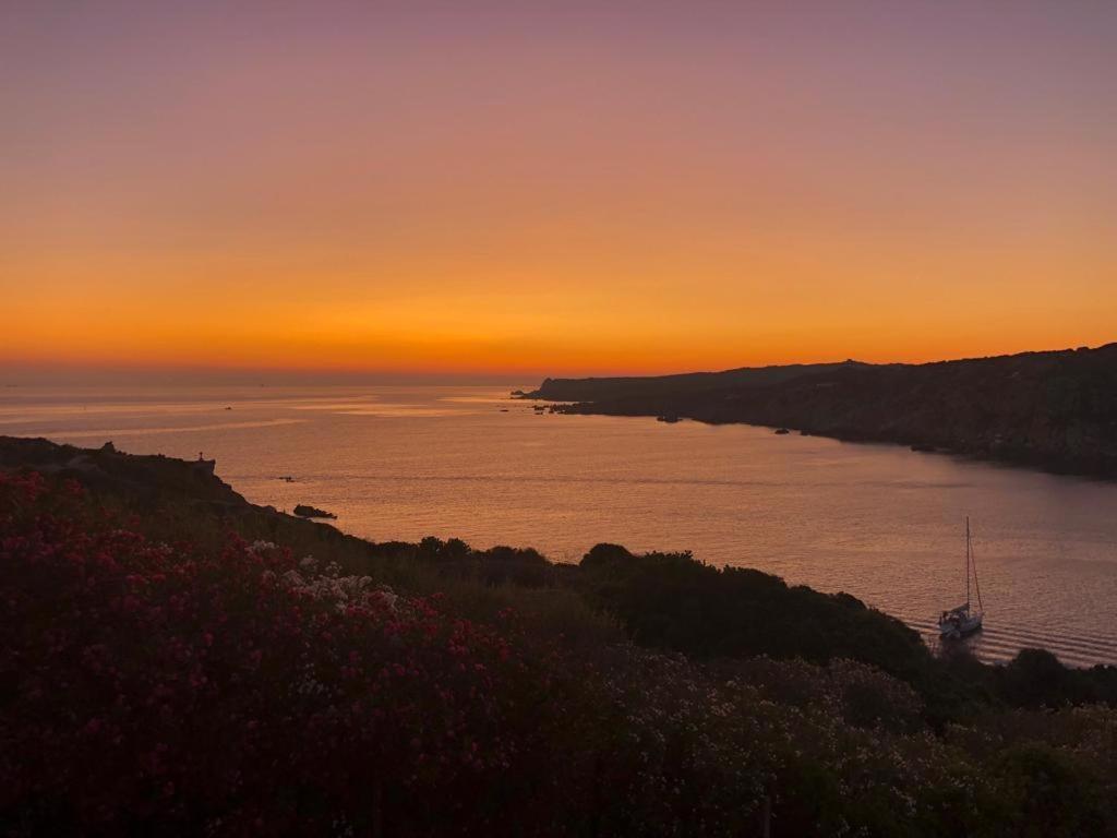B&B Jolie Santa Teresa Gallura Buitenkant foto